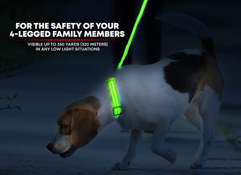LED safety light up dog collar