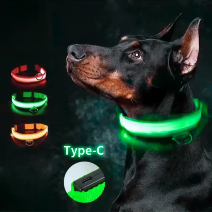dog led light color