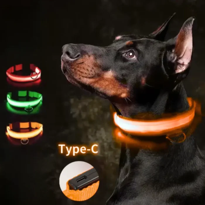 dog led light up collar