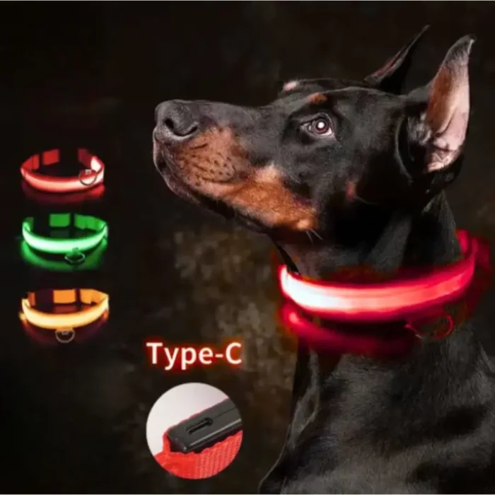 led dog lighted collar