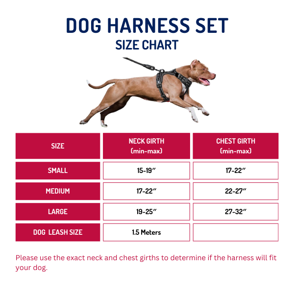 dog harness N=and leash set