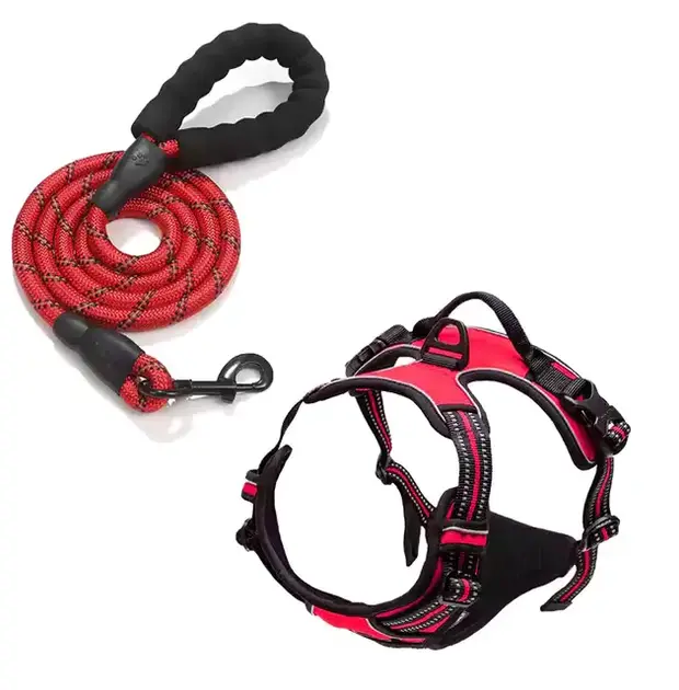 heavy duty dog harness and leash set in redo color